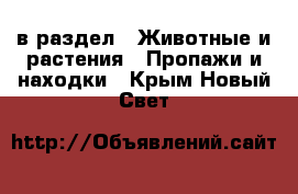  в раздел : Животные и растения » Пропажи и находки . Крым,Новый Свет